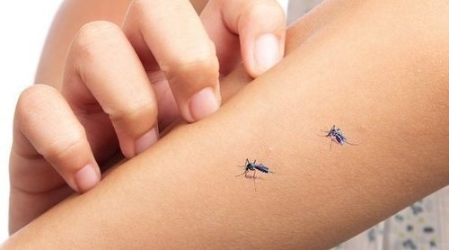 Remedios caseros contra insectos