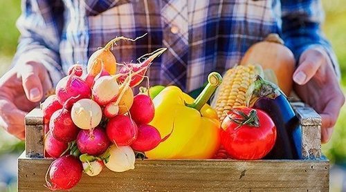Cómo hacer un huerto ecológico