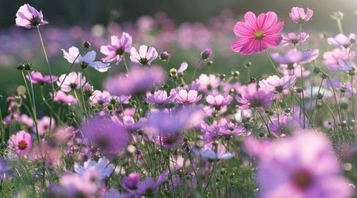 Apps para disfrutar de la primavera