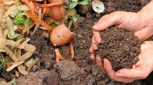 Qué es el compost