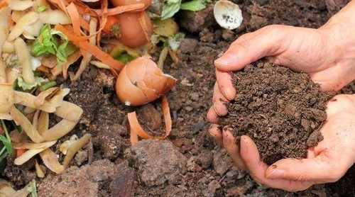 Cómo hacer compost casero