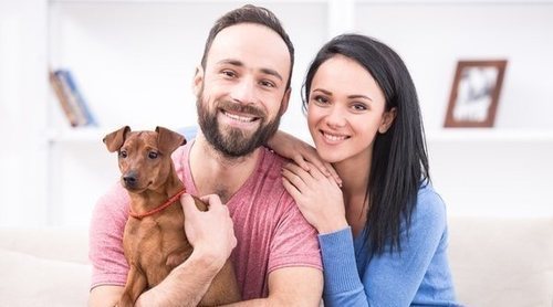 ¿Quién se queda a la mascota en caso de divorcio?