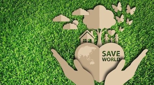 Ecología y ecologismo, ¿cuáles son las diferencias?